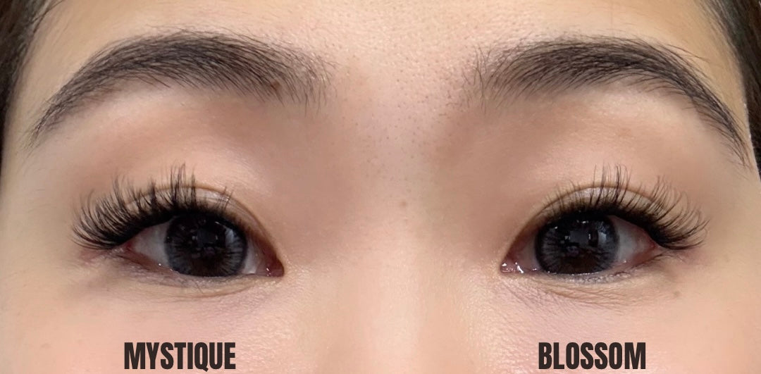 WEEKLY Press-On Lashes - Blossom